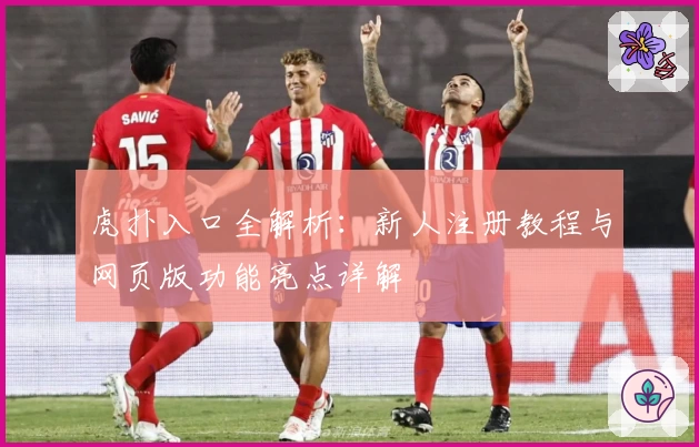 虎扑入口全解析：新人注册教程与网页版功能亮点详解
